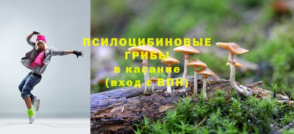 PSILOCYBIN Богородицк